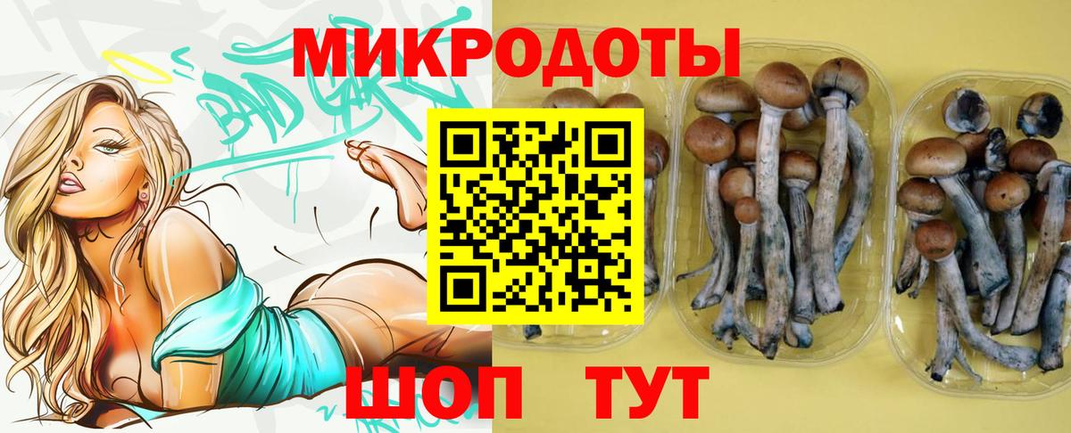 Белореченск  Псилоцибиновые грибы GOLDEN TEACHER  купить наркотик  Вход с VPN 
